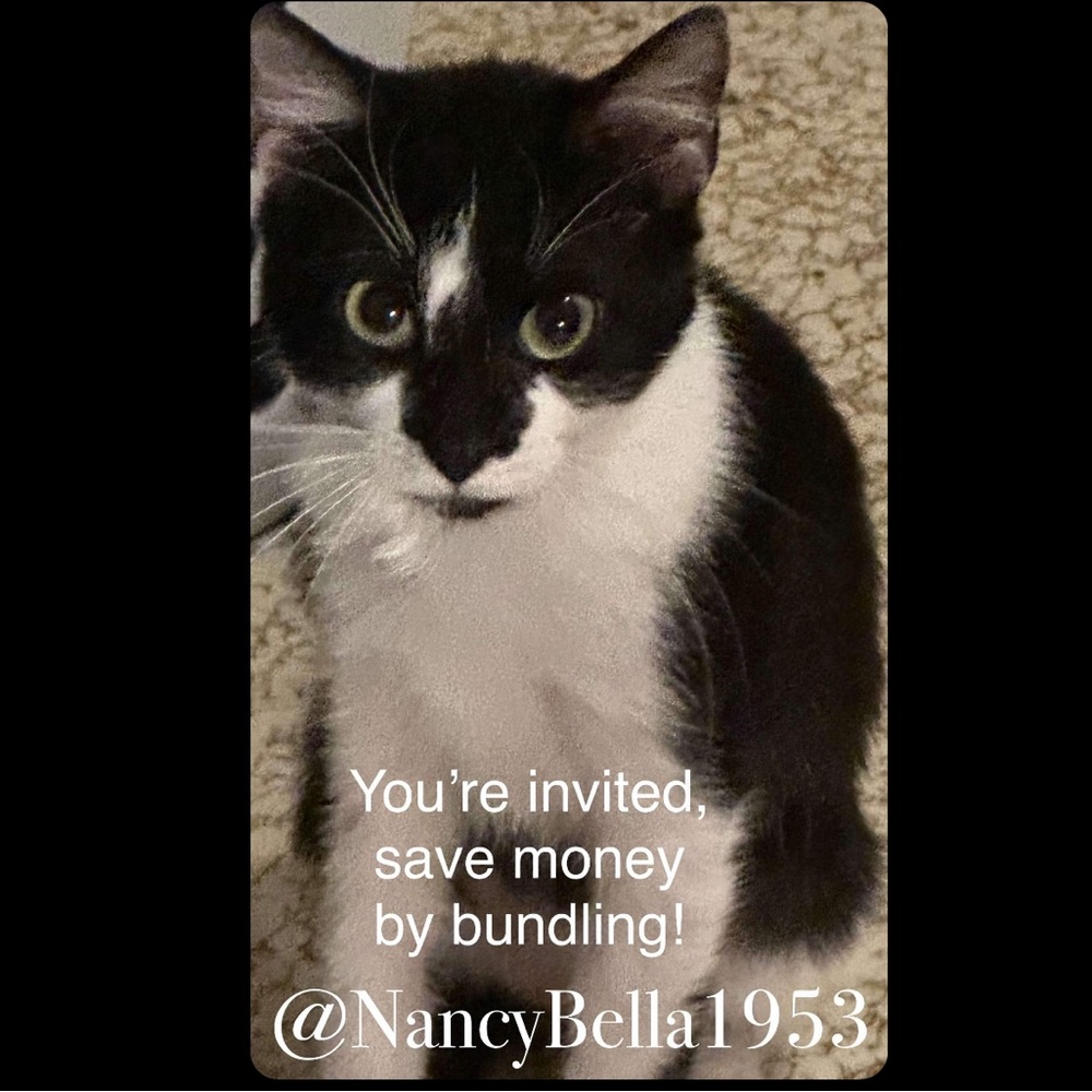 Nancy flyer